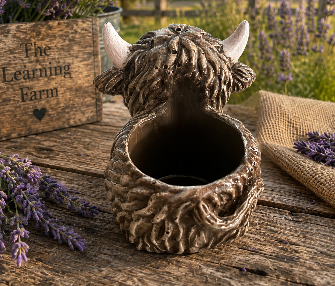 Highland Cow Planter Molding and Painting Class - Pay by Donation