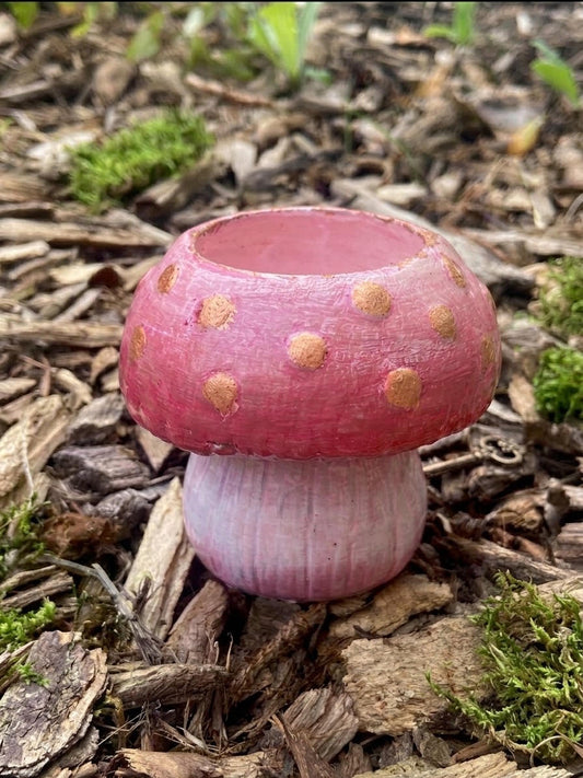 Mushroom Trinket Painting Class - Sat, Sept 26th